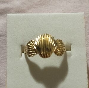 14k Gold Nautical Shell Design Ring Made By Gianni Deloro